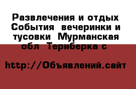 Развлечения и отдых События, вечеринки и тусовки. Мурманская обл.,Териберка с.